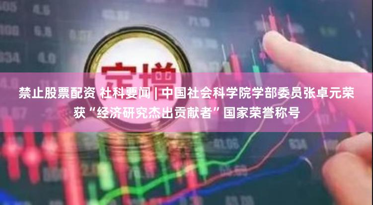 禁止股票配资 社科要闻 | 中国社会科学院学部委员张卓元荣获“经济研究杰出贡献者”国家荣誉称号