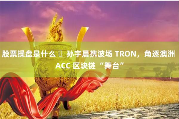 股票操盘是什么 ​孙宇晨携波场 TRON，角逐澳洲 ACC 区块链 “舞台”